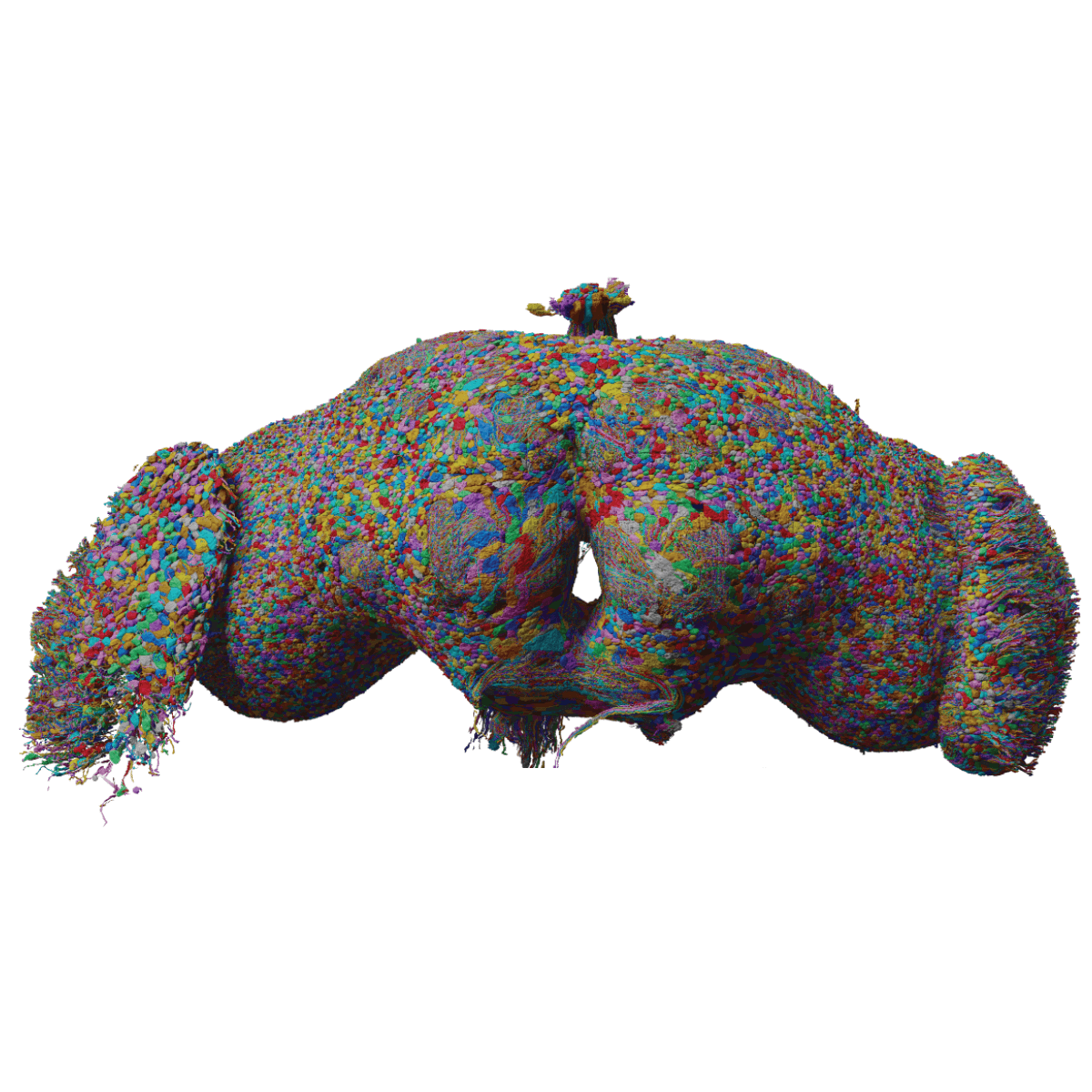 FAFB render, Drosophila whole brain